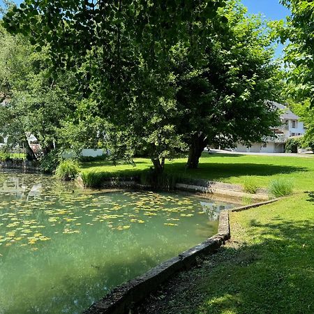 Les Lodges Du Lac Saint-Alban-de-Montbel Eksteriør bilde