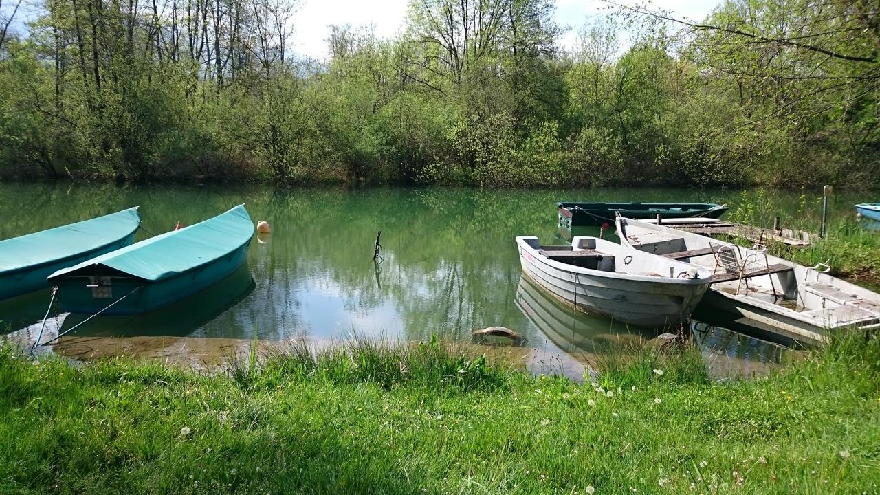 Les Lodges Du Lac Saint-Alban-de-Montbel Eksteriør bilde